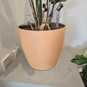 Lechuza (self watering) plant pot