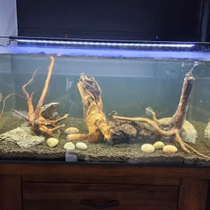 Fish tank and all the gear - Image 2