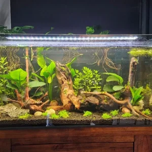 Fish tank and all the gear - Image 3