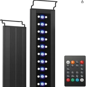 Fish tank and all the gear - Image 8