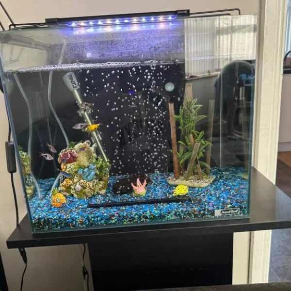 Fish tank and stand