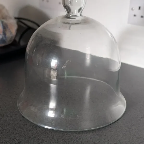 Victorian Style Glass Cloche Set