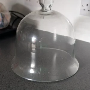 Victorian Style Glass Cloche Set