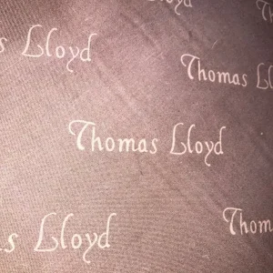 Leather arm chairs (Thomas Lloyd) - Image 2