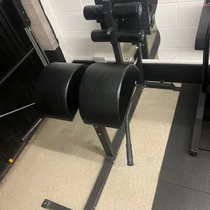 Glute & Hamstring developer GHD