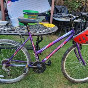MOUNTAIN BIKE
