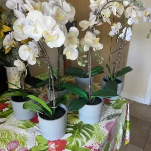 6 Faux Potted Orchids and Extra Plants - Image 2