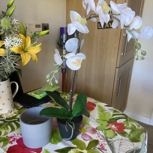 6 Faux Potted Orchids and Extra Plants - Image 3