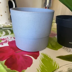 6 Faux Potted Orchids and Extra Plants - Image 4