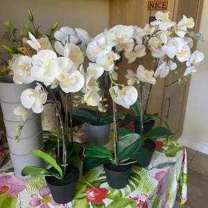 6 Faux Potted Orchids and Extra Plants