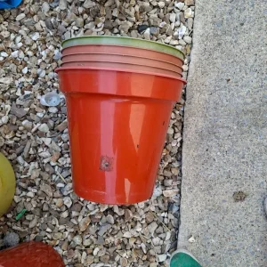 Tomato pots x