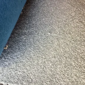 3m x 4m silver grey flecked Saxony pile carpet roll end - Image 3