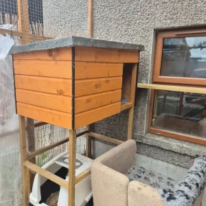 Catio with panels - Image 3