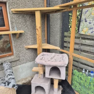 Catio with panels - Image 4