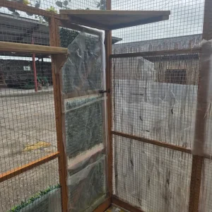 Catio with panels - Image 5