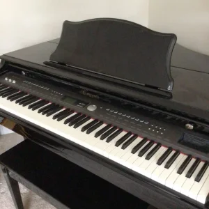 Baby Grand Digital Piano - Image 2