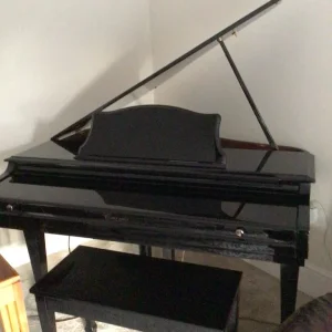 Baby Grand Digital Piano - Image 3