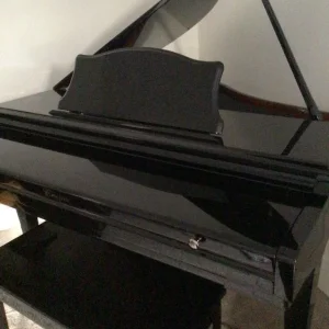 Baby Grand Digital Piano - Image 4