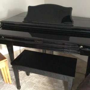 Baby Grand Digital Piano - Image 5