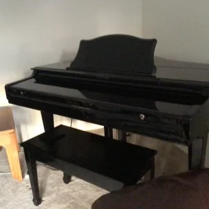 Baby Grand Digital Piano - Image 6