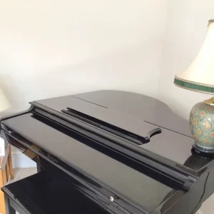 Baby Grand Digital Piano - Image 8