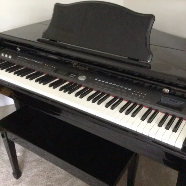 Baby Grand Digital Piano