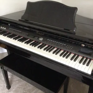 Baby Grand Digital Piano