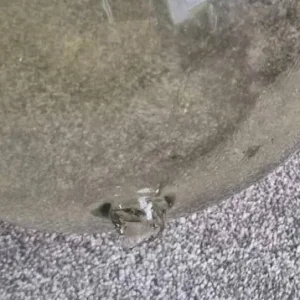 VINTAGE DAIRY MILKING SYSTEM GLASS JAR - Image 7