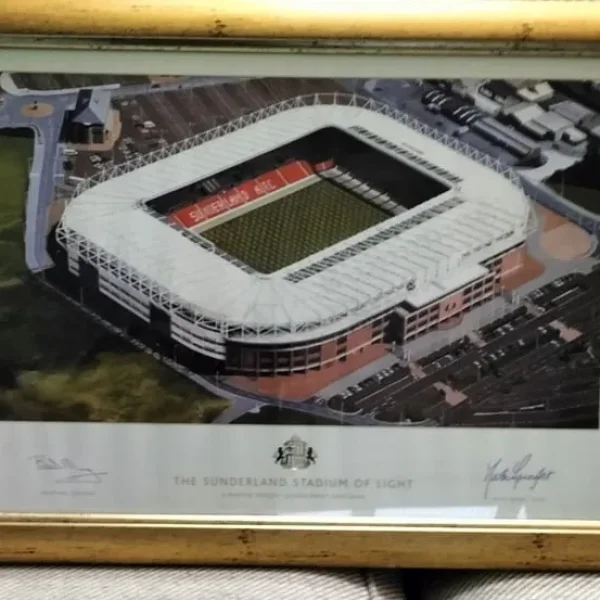 Safc framed print