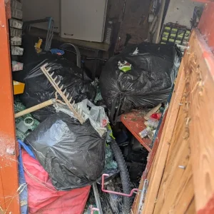 Garden waste and small clutter removal - Image 7