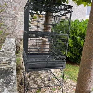 Bird cage - Image 2