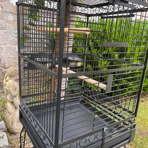 Bird cage
