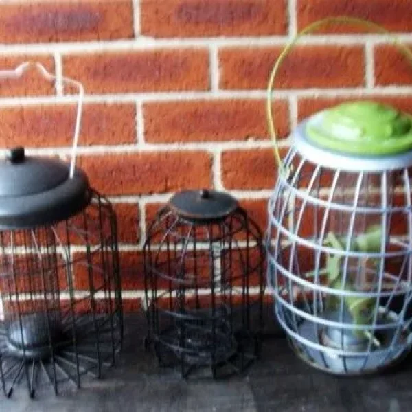 3 x Bird Feeders