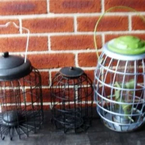 3 x Bird Feeders