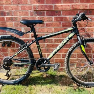 Mountain bike- phoenix26