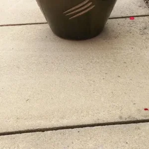 Medium Size Garden Planter Dark Green with Abstract Design