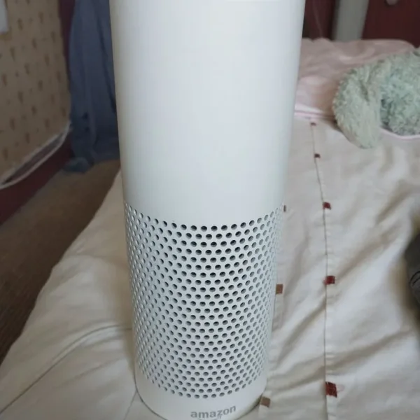 Amazon Echo Alexa