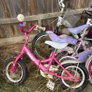 Girls kids bike frames - Image 2