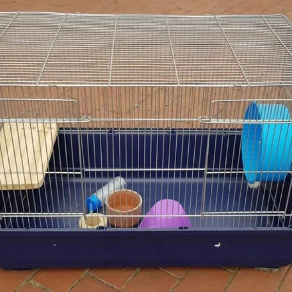 80cm Rat Cage with All the Extras