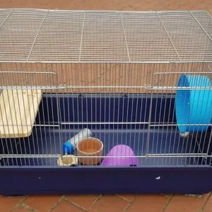 80cm Rat Cage with All the Extras