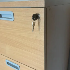 Wooden heavy duty filing cabinet - Image 3
