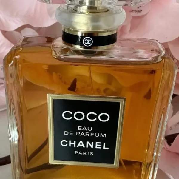 Coco Chanel jacket