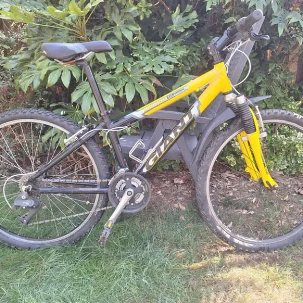 Giant Boulder Mountain Bike