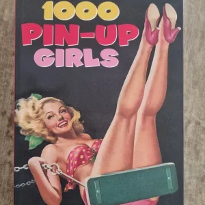 Pin-Up books x2 - Image 4