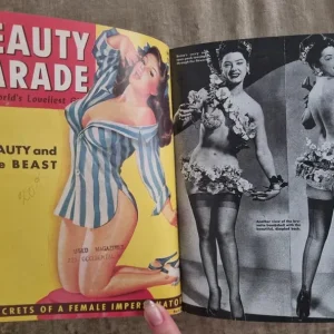 Pin-Up books x2 - Image 5