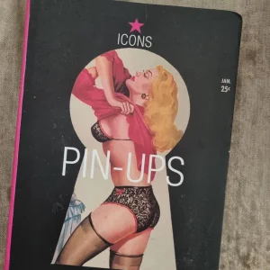 Pin-Up books x2