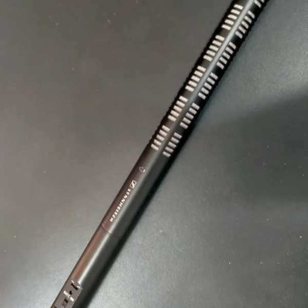 Sennheiser K6+ME66 mic & module