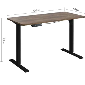 Electric Standing Desk Height Adjustable
