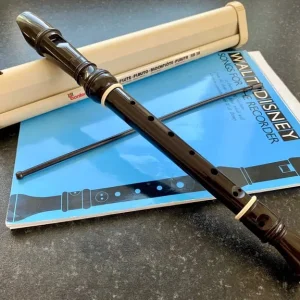 Soprano Recorder with Music Stand and Disney Song Book - Image 2