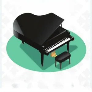 Solo Pianist